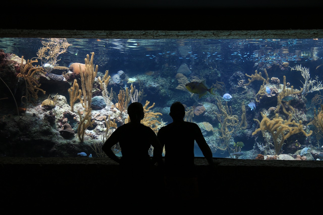people in front of an aquarium